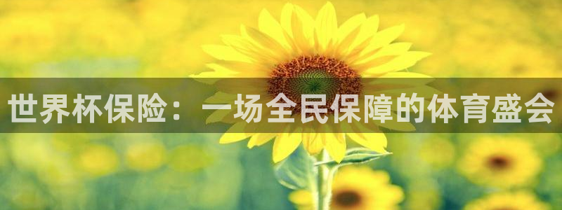 女足世界杯直播：世界杯保险：一场全民保障的体育盛会