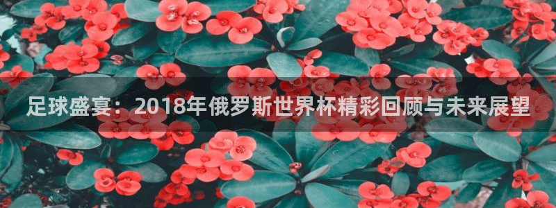 2026足球世界杯：足球盛宴：2018年俄罗斯世界杯精彩回顾与未来展望
