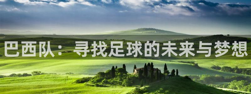欧洲区世界杯预选赛：巴西队：寻找足球的未来与梦想
