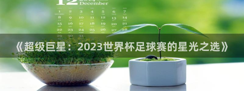 世界杯第一场比赛：《超级巨星：2023世界杯足球赛的星光之选》