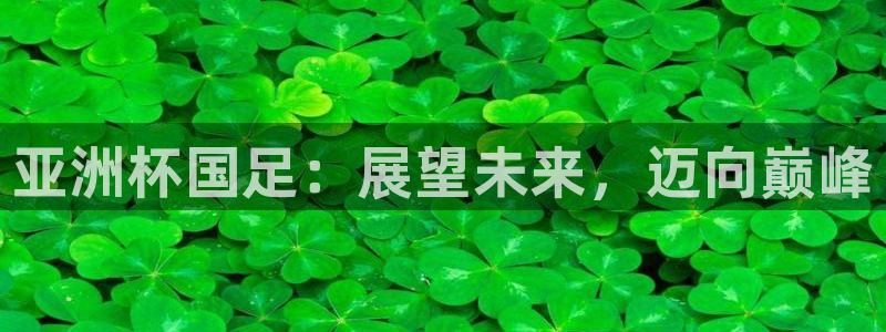 2026世界杯赛程表完整版：亚洲杯国足：展望未来，迈向巅峰