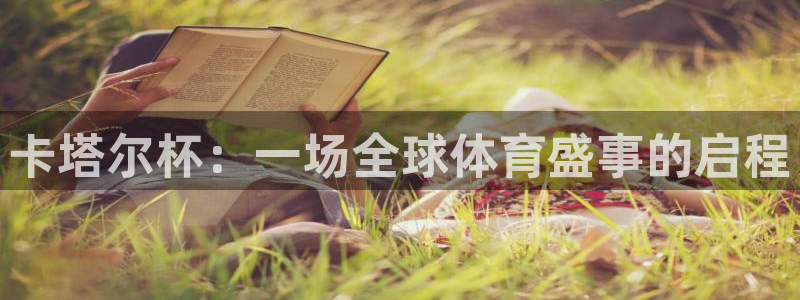 2026世界杯：卡塔尔杯：一场全球体育盛事的启程