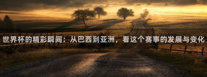 2026年世界杯直播平台：世界杯的精彩瞬间：从巴西到亚洲，看这个赛事的发展与变化