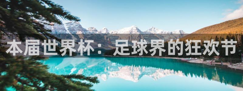 世界杯在线直播：本届世界杯：足球界的狂欢节