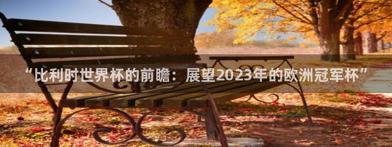 欧洲世界杯预选赛赛程：“比利时世界杯的前瞻：展望2023年的欧洲冠军杯”