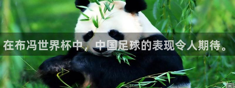 世界杯第一场比赛：在布冯世界杯中，中国足球的表现令人期待。