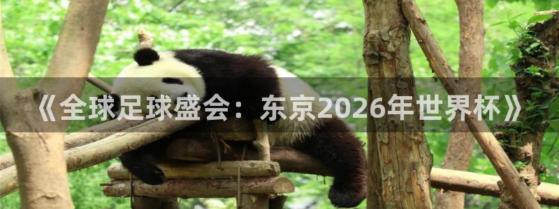 世界杯2026赛程：《全球足球盛会：东京2026年世界杯》