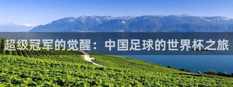 足球世界杯时间：超级冠军的觉醒：中国足球的世界杯之旅