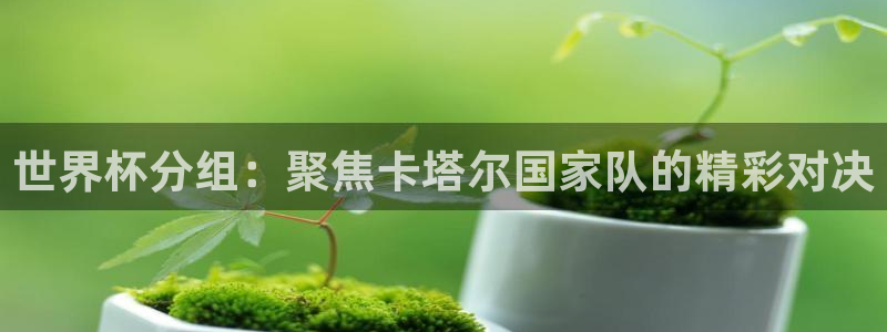 免费足球比赛直播高清：世界杯分组：聚焦卡塔尔国家队的精彩对决