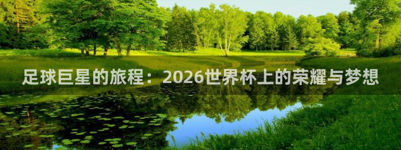 世界杯预选赛赛程时间表：足球巨星的旅程：2026世界杯上的荣耀与梦想